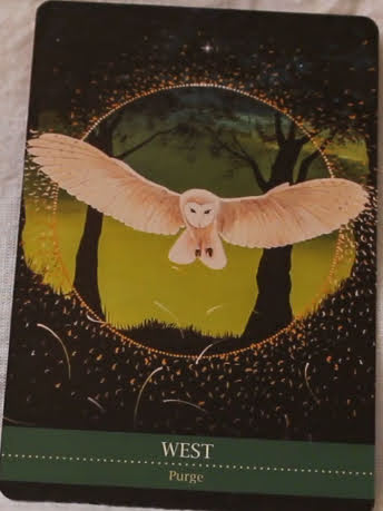 Shamanic Medicine Oracle Cards